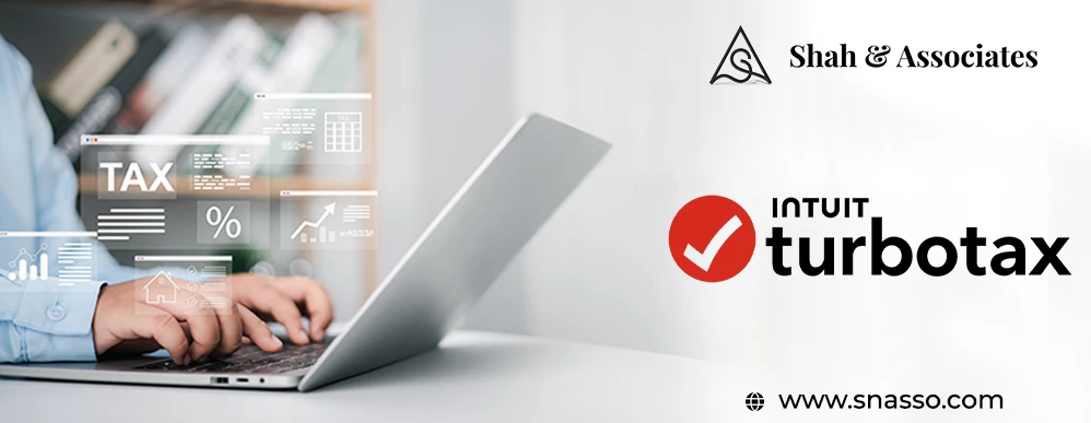 hire a cpa vs software