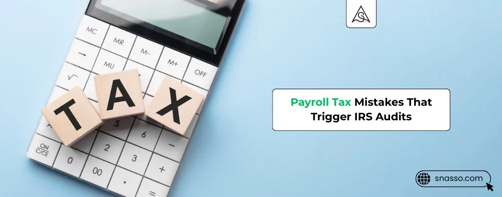 payroll tax audit